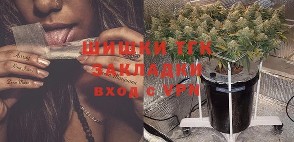 дмт Нея