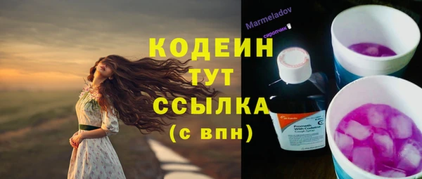 соль ск Билибино