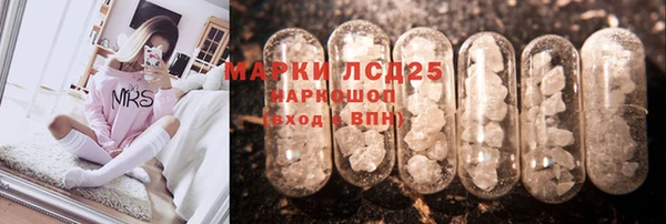 дмт Нея
