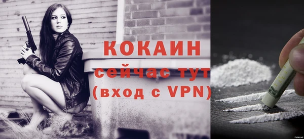 дмт Нея