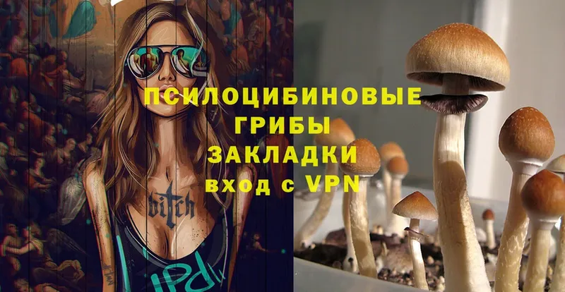 даркнет сайт  Иланский  Псилоцибиновые грибы Cubensis 